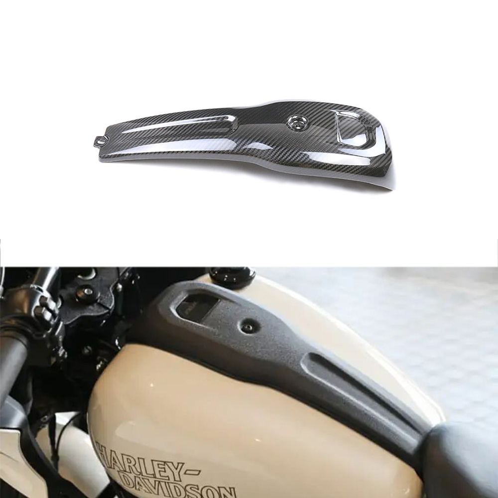 For Harley Davidson Lowrider L - огляд і ціна Holy Stone Drone Hs720